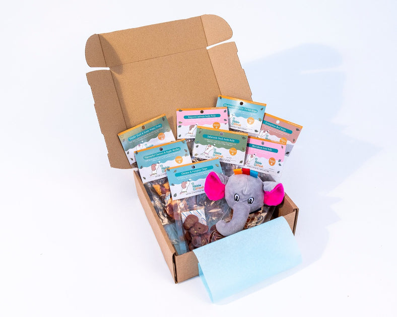 Best dog sale subscription box uk