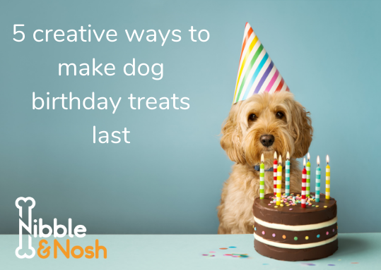 5 creative ways to make dog birthday treats last – Nibble & Nosh